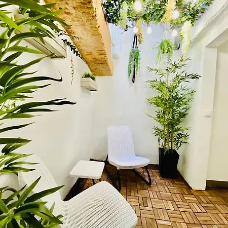 Apartment Amalia 21 - Lisbon
